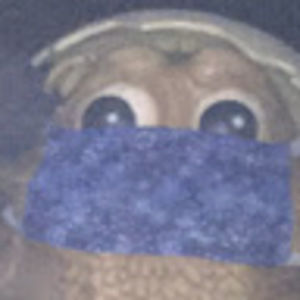 Meet your Posher, Da